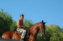 Spanish Horseman